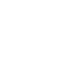 Moloni — Agente Oficial Certificado
